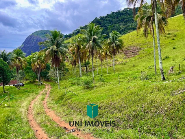 Imagem 8: Área rural à venda em Cachoeirinha, Guarapari - Natureza, água e excelente
