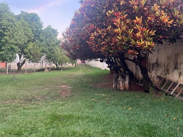 Imagem 8: Chácara em AGUA BRANCA, Boituva/SP