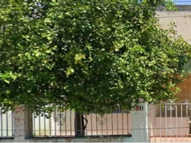 Imagem: Aluga - Casa - 3 Quartos - Tauá - Ilha