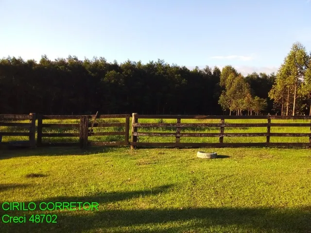 Imagem 9: CHACARA RURAL em MONTENEGRO - RS, Potreiro Grande