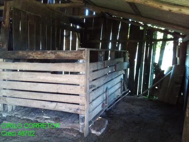 Imagem 13: CHACARA RURAL em MONTENEGRO - RS, Potreiro Grande