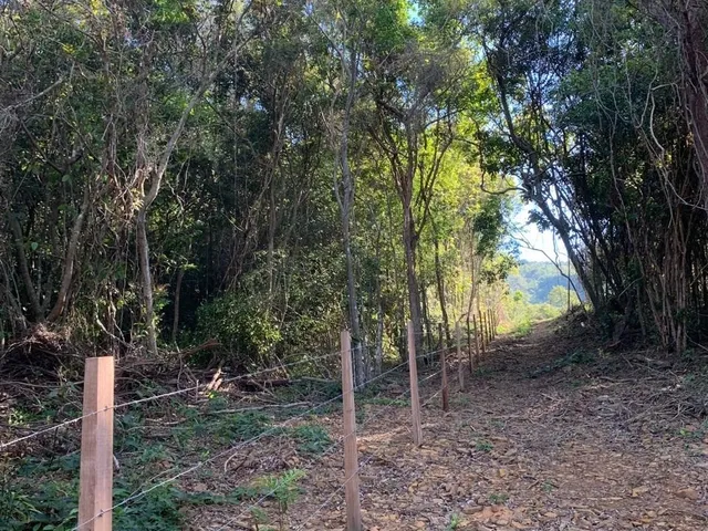 Imagem 14: Terreno À Venda em Imaruí-Sc, Bairro Imaruí, 6,20 Hectares de Área! Aproveite Essa Oportunidade Única!