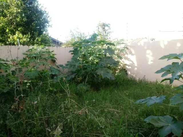 Imagem 8: CASA RESIDENCIAL em Campo Grande - MS, Nova Campo Grande