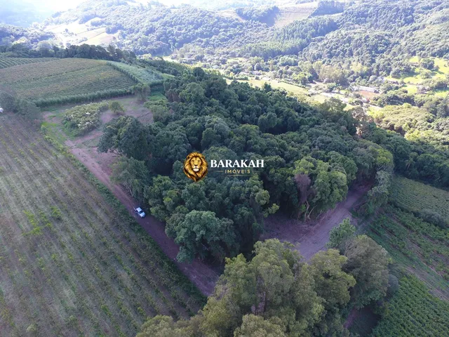 Imagem 8: Chácara À Venda no Bairro Barracão - Bento Gonçalves/Rs