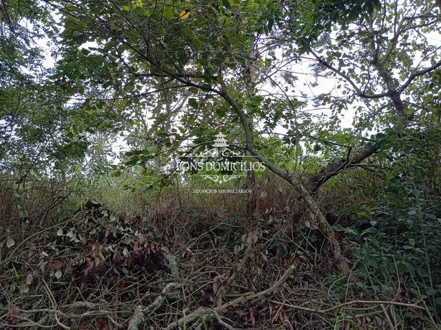 Imagem 8: TERRENO RESIDENCIAL em COTIA - SP, PARQUE DOM HENRIQUE
