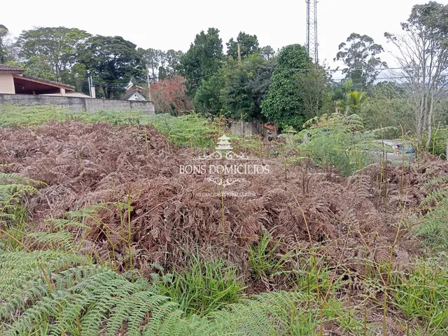 Imagem 16: TERRENO RESIDENCIAL em COTIA - SP, PARQUE DOM HENRIQUE