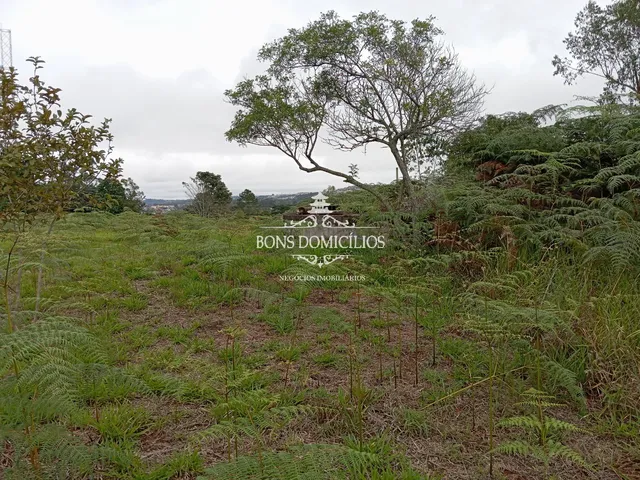 Imagem 13: TERRENO RESIDENCIAL em COTIA - SP, PARQUE DOM HENRIQUE