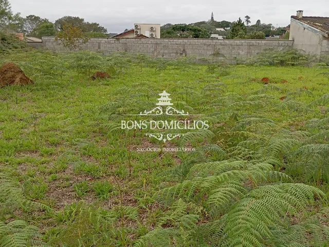 Imagem 4: TERRENO RESIDENCIAL em COTIA - SP, PARQUE DOM HENRIQUE