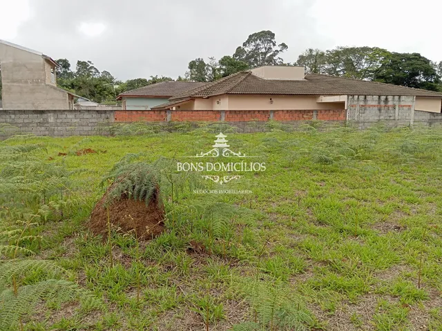 Imagem 5: TERRENO RESIDENCIAL em COTIA - SP, PARQUE DOM HENRIQUE