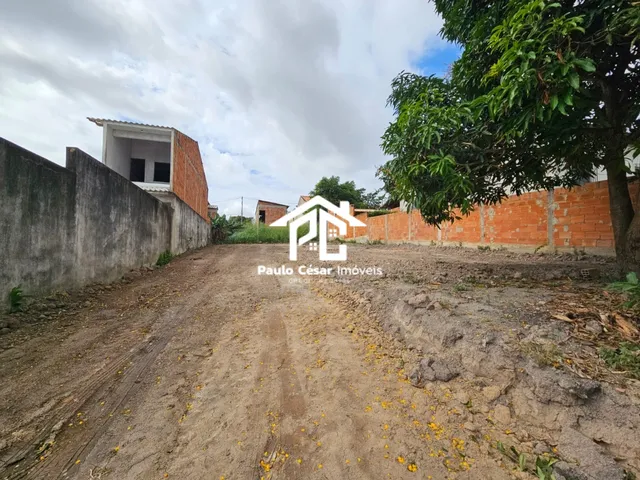 Imagem 11: Vendo excelente terreno murado nas laterais, medindo 315,00m², pronto para construir sua