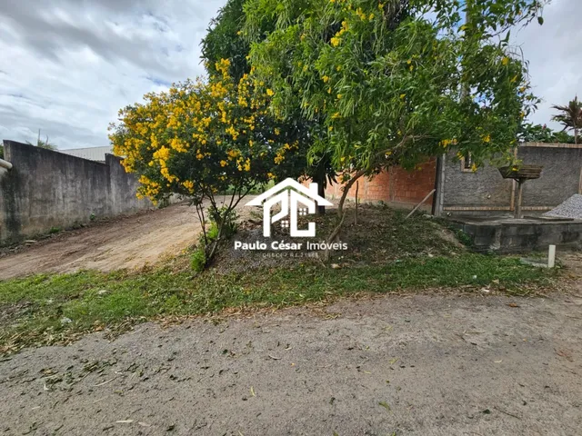 Imagem 8: Vendo excelente terreno murado nas laterais, medindo 315,00m², pronto para construir sua
