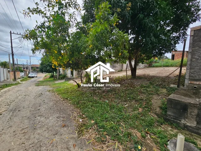 Imagem 7: Vendo excelente terreno murado nas laterais, medindo 315,00m², pronto para construir sua
