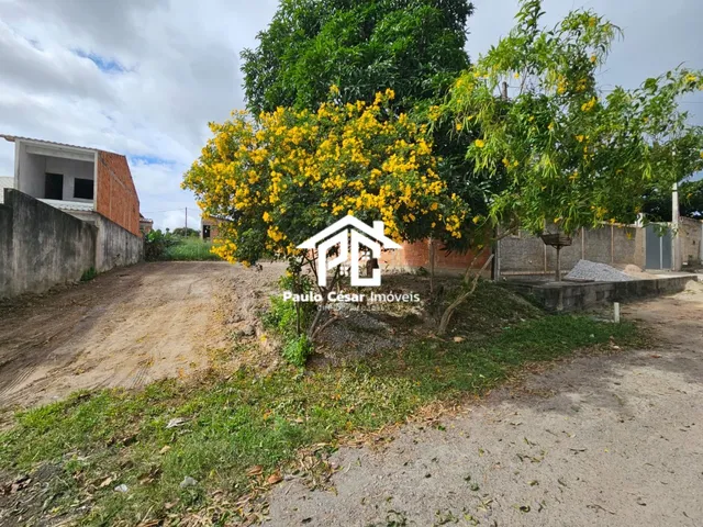 Imagem 6: Vendo excelente terreno murado nas laterais, medindo 315,00m², pronto para construir sua