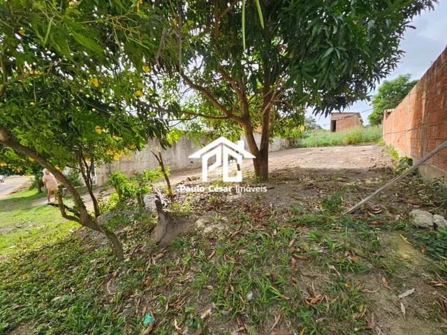 Imagem 9: Vendo excelente terreno murado nas laterais, medindo 315,00m², pronto para construir sua