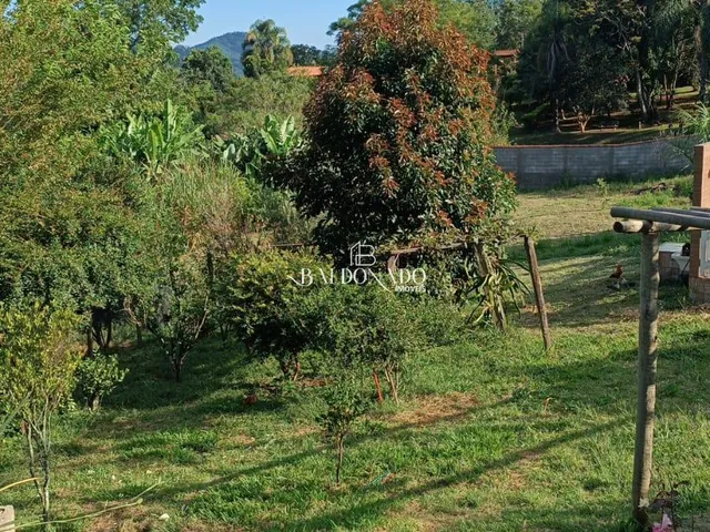 Imagem 7: CHACARA EM ITAPEVA MINAS GERAIS 2000 METROS 10KM DO CENTRO