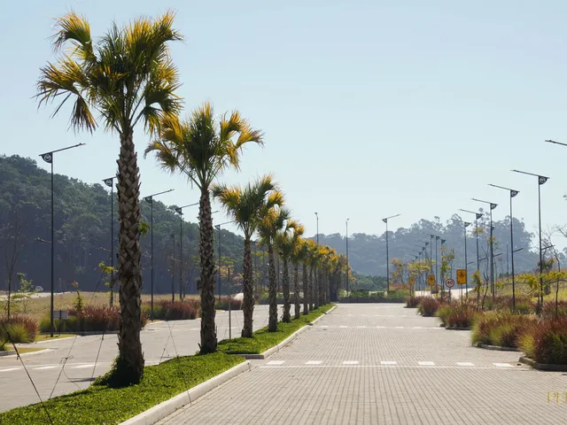 Imagem 14: Terreno em Condomínio em VARZEA DO RANCHINHO, Camboriú/SC