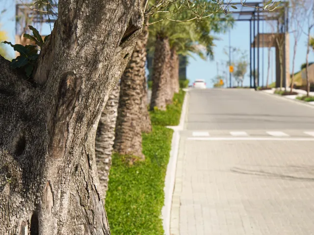 Imagem 2: Terreno em Condomínio em VARZEA DO RANCHINHO, Camboriú/SC