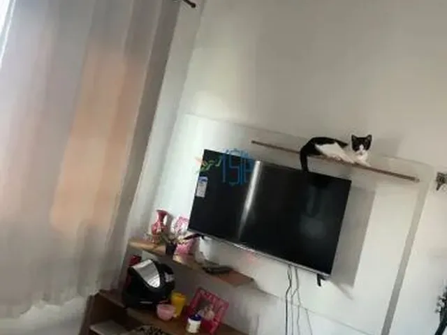 Imagem 8: OPORTUNIDADE CASA A VENDA EM DIX-SEPT ROSADO ,NATAN RN