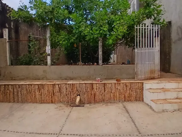 Imagem 4: Sobrado para venda, 6 quarto(s), Goiabeiras, Cuiabá