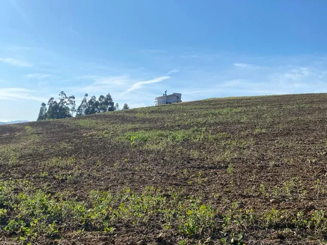 Imagem 5: TERRENO RURAL em CAMPO ALEGRE - SC, Serrinha