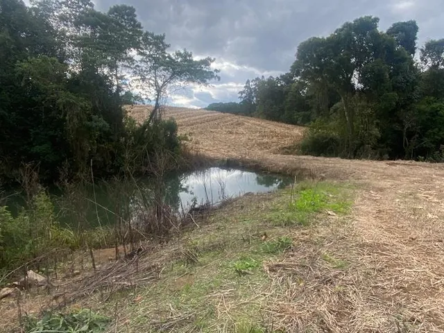 Imagem 3: TERRENO RURAL em CAMPO ALEGRE - SC, Serrinha