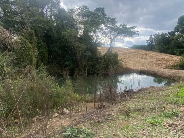 Imagem 2: TERRENO RURAL em CAMPO ALEGRE - SC, Serrinha