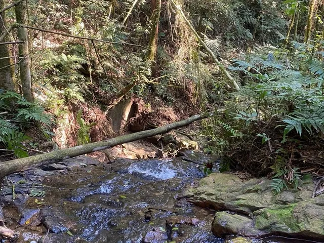 Imagem 4: TERRENO RURAL em CAMPO ALEGRE - SC, Serrinha
