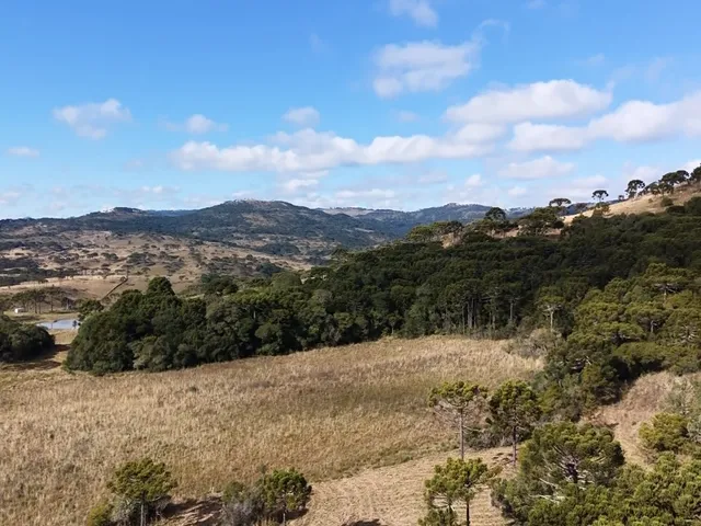 Imagem 10: Fazenda À Venda em São Joaquim no Vale dos Vinhedos Pericó