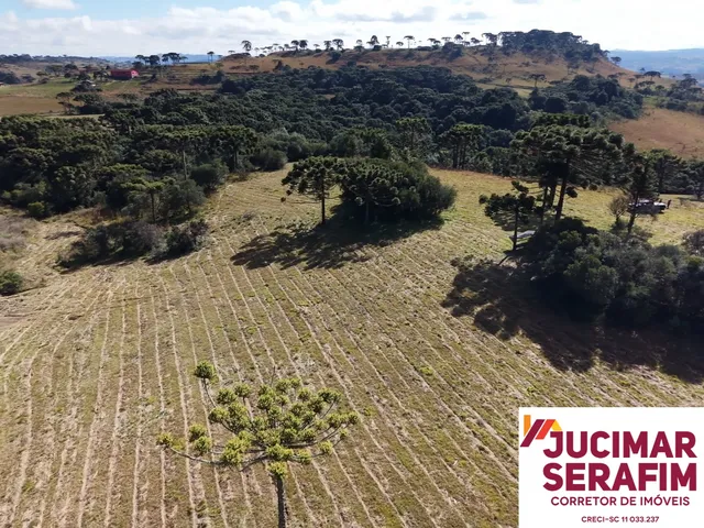 Imagem 3: Fazenda À Venda em São Joaquim no Vale dos Vinhedos Pericó