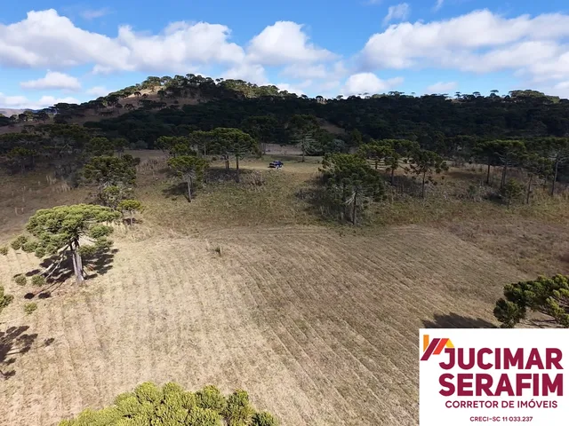Imagem 13: Fazenda À Venda em São Joaquim no Vale dos Vinhedos Pericó