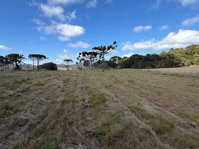 Imagem 16: Fazenda À Venda em São Joaquim no Vale dos Vinhedos Pericó