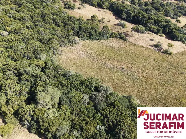 Imagem 4: Fazenda À Venda em São Joaquim no Vale dos Vinhedos Pericó
