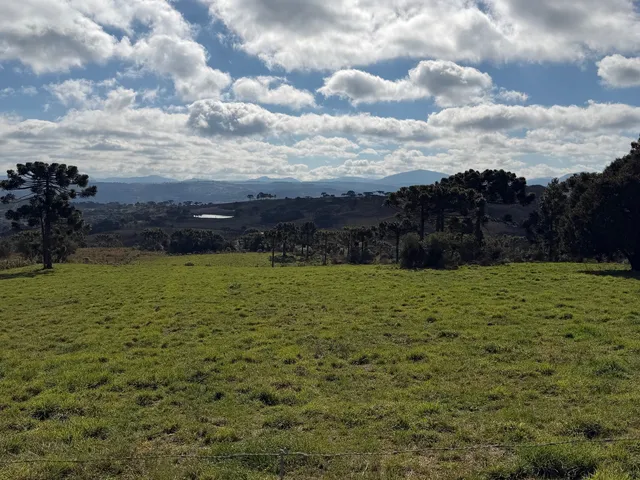 Imagem 6: Fazenda À Venda em São Joaquim no Vale dos Vinhedos Pericó