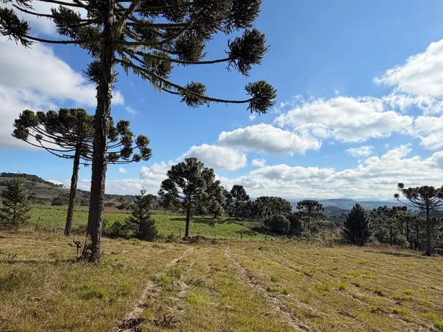 Imagem 12: Fazenda À Venda em São Joaquim no Vale dos Vinhedos Pericó
