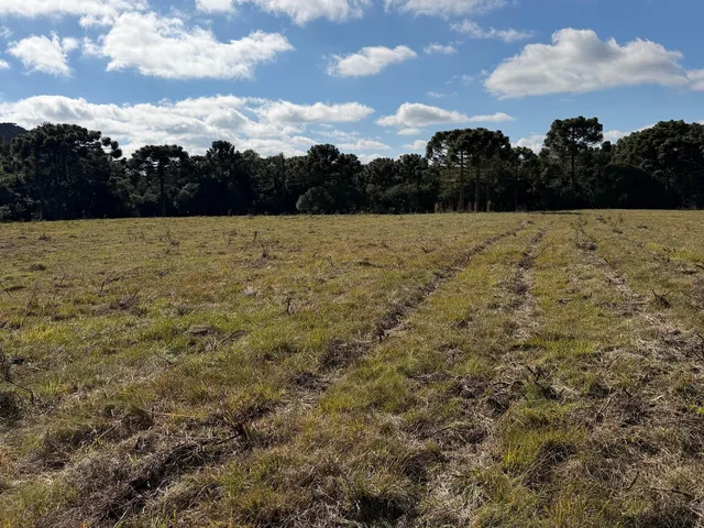 Imagem 11: Fazenda À Venda em São Joaquim no Vale dos Vinhedos Pericó