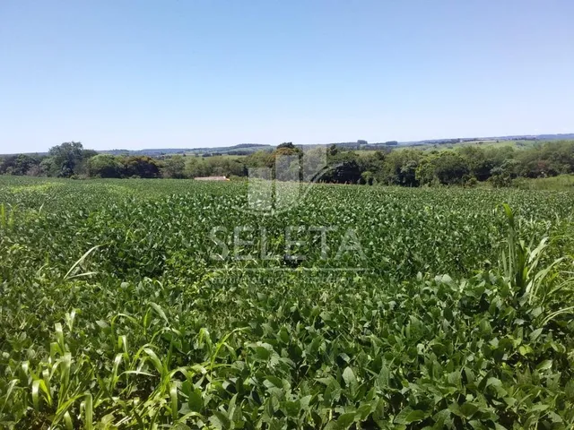 Imagem: Sítio à venda, Nova Cidade, CASCAVEL
