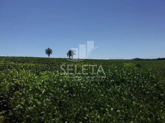 Imagem 2: Sítio à venda, Nova Cidade, CASCAVEL - PR