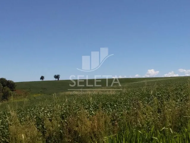 Imagem 3: Sítio à venda, Nova Cidade, CASCAVEL - PR
