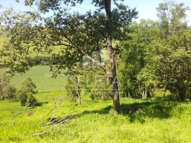 Imagem 5: Sítio à venda, Nova Cidade, CASCAVEL - PR
