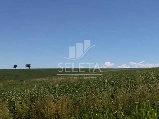 Imagem 7: Sítio à venda, Nova Cidade, CASCAVEL - PR