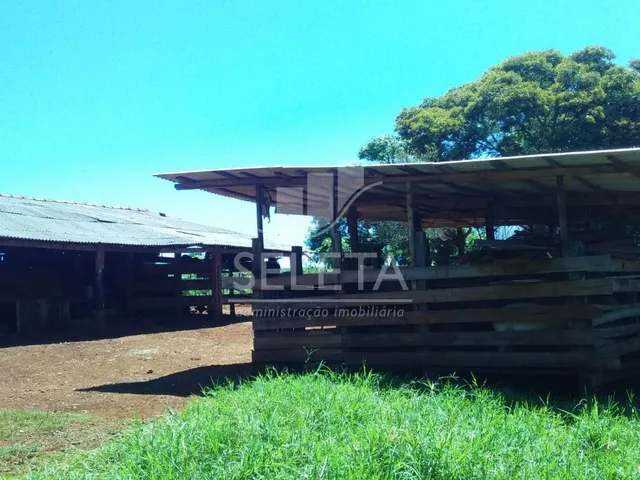 Imagem 8: Sítio à venda, Nova Cidade, CASCAVEL - PR