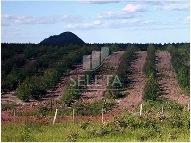 Imagem: A fazenda possui Acomodam 100 pessoas, 2.147.483.647m² de