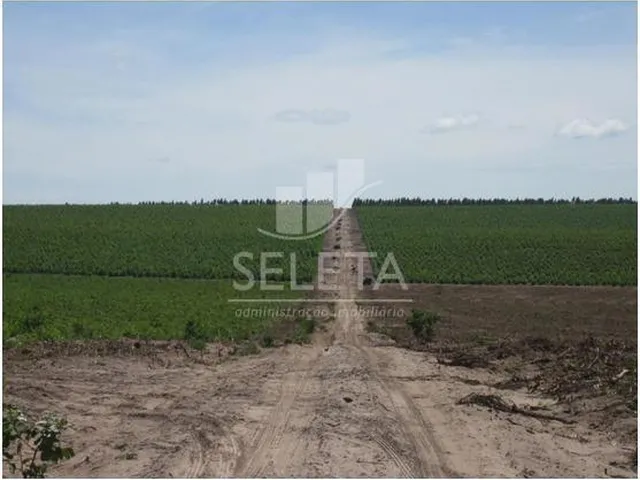 Imagem 2: Fazenda à venda, Zona Rural, SAO DOMINGOS - MT