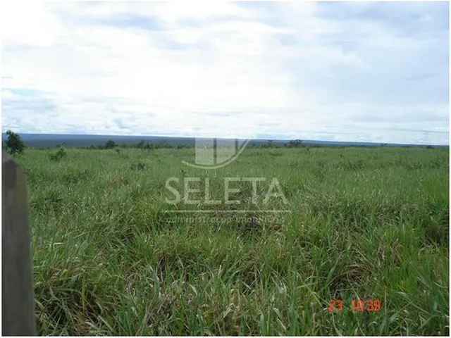 Imagem 4: Fazenda à venda, Zona Rural, SAO DOMINGOS - MT