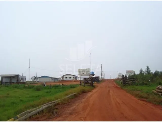 Imagem 10: Fazenda à venda, Zona Rural, SAO DOMINGOS - MT