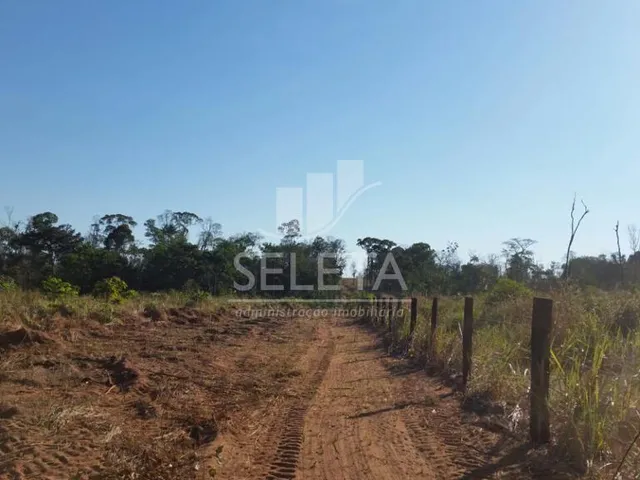 Imagem 11: Fazenda à venda, Zona Rural, PORTO DOS GAUCHOS - MT