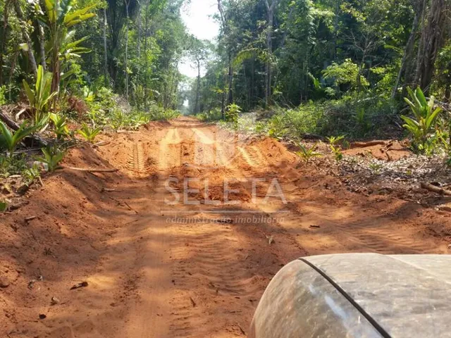 Imagem 13: Fazenda à venda, Zona Rural, PORTO DOS GAUCHOS - MT