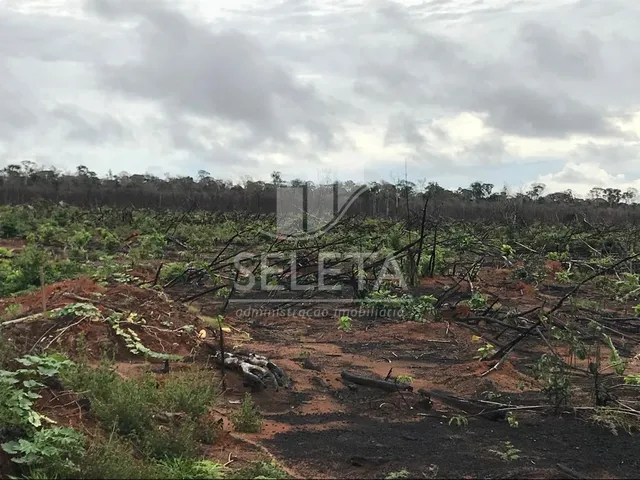 Imagem 14: Fazenda à venda, Zona Rural, PORTO DOS GAUCHOS - MT