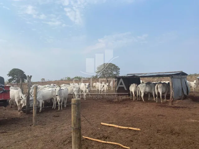 Imagem: Fazenda à venda, Zona Rural, GENERAL CARNEIRO