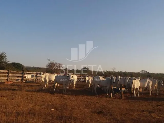 Imagem 2: Fazenda à venda, Zona Rural, GENERAL CARNEIRO - MT